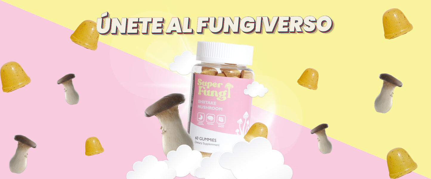 HONGO SHIITAKE