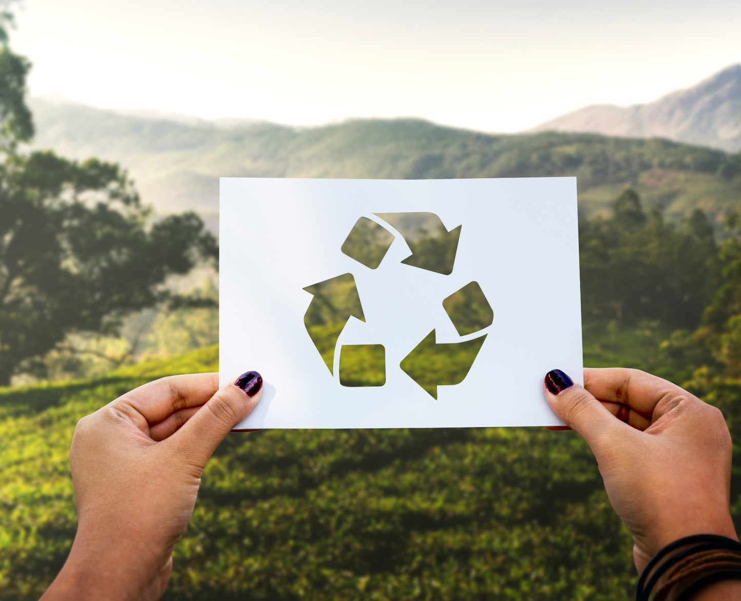 Compromiso Sostenible de NewPharma: Acciones Proactivas por el Medio Ambiente