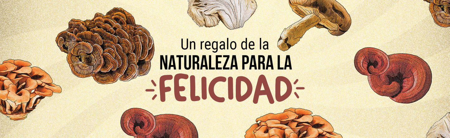 Hongos Funcionales: Un Regalo de la Naturaleza para tu Bienestar Emocional