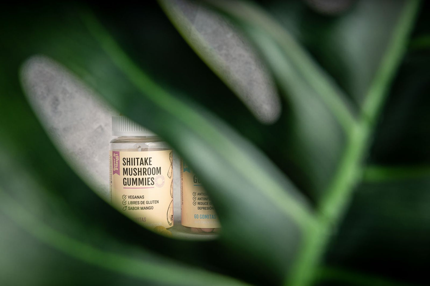 ¿Cuál es la diferencia entre nuestros productos a base de hongos?