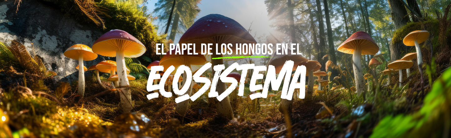 El Papel Fundamental de los Hongos en el Ecosistema