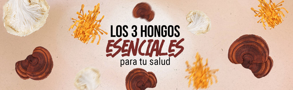 3 Hongos Esenciales para Tu Salud: Melena de León, Reishi y Cordyceps