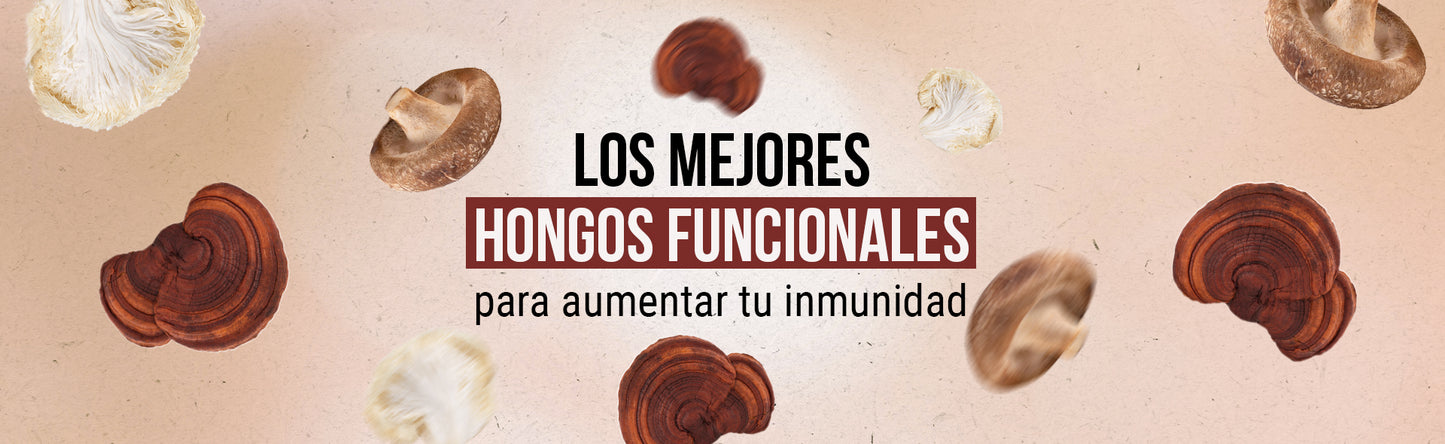 Hongos Funcionales: Tus Aliados Naturales para Potenciar la Inmunidad