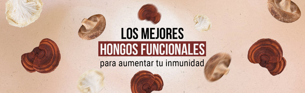 Los Mejores Hongos Funcionales para Fortalecer tu Sistema Inmunológico