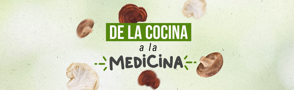De la cocina a la medicina: Cómo los hongos funcionales están revolucionando el mundo de la salud natural