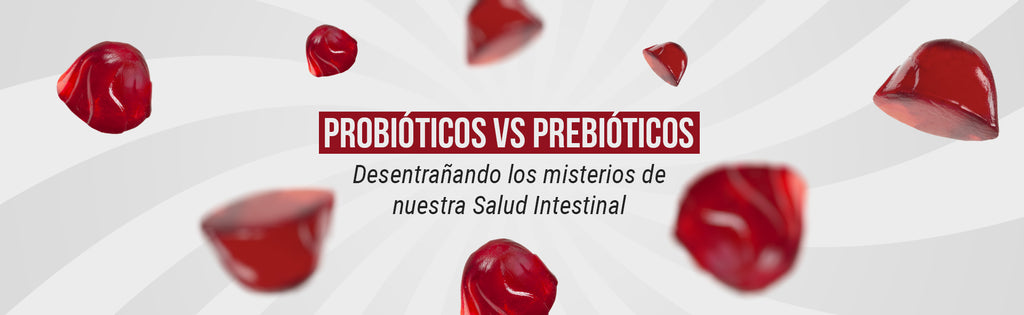 Probióticos vs Prebióticos: Desentrañando los Misterios de Nuestra Salud Intestinal