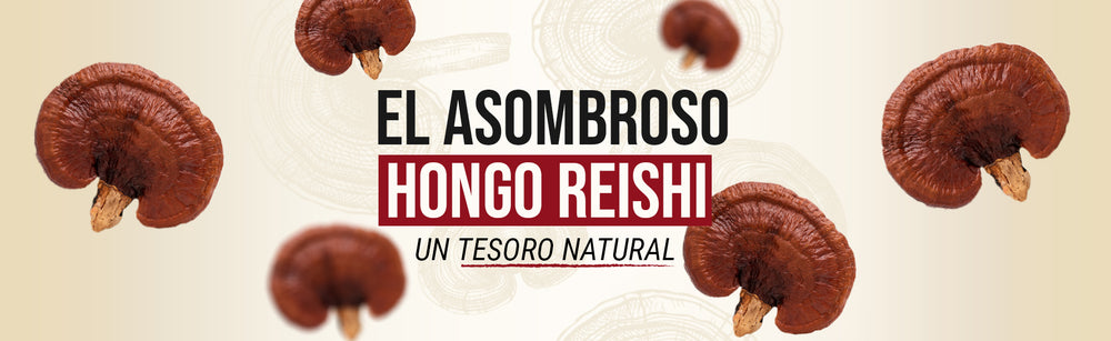 El Asombroso Hongo Reishi: Un Tesoro Natural