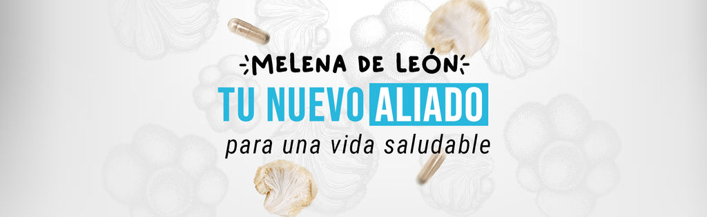Melena de León: Un Aliado Natural para una Vida Saludable y Plena