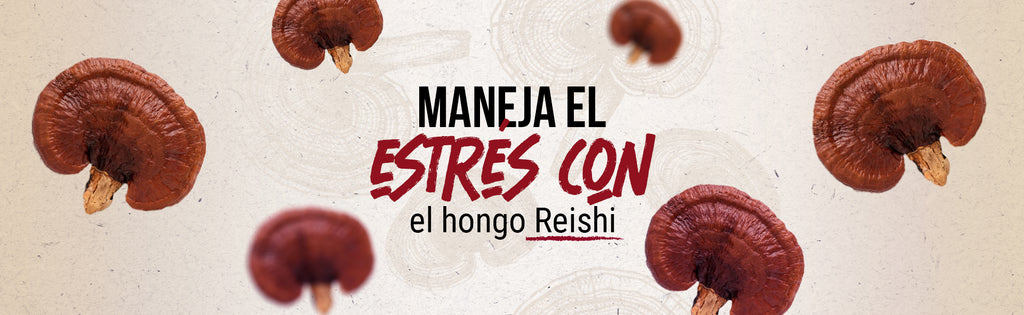 Reishi y el Manejo del Estrés: ¿Cuál es su impacto?