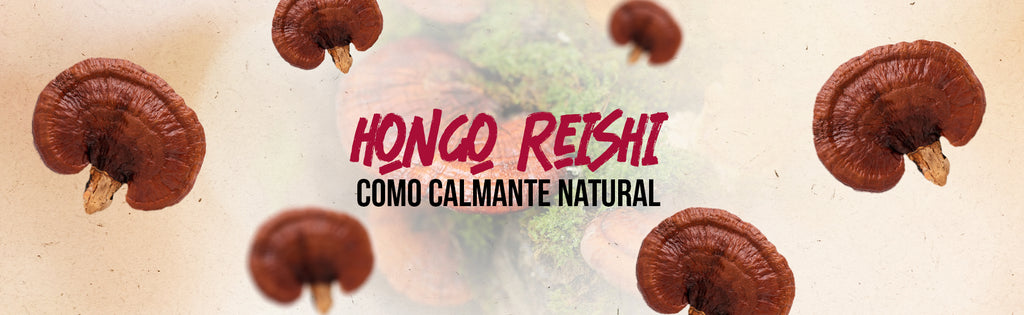 El Reishi Como Calmante Natural: Combate el Insomnio y el Estrés Diario