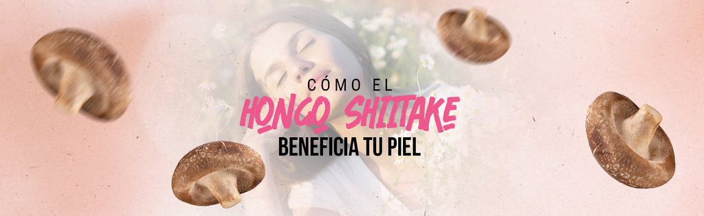 Beneficios del Shiitake para la Piel