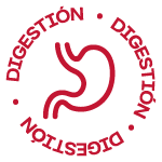 Digestión